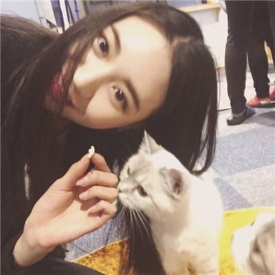 别说谁变了你拦不住时间(可爱女生头像抱着猫咪高清大图)