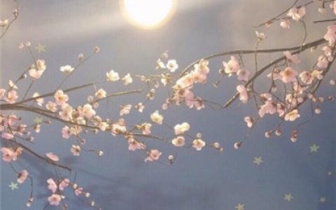 明里暗里都喜欢你(会带好运的抖阴风景头像大全小清新)
