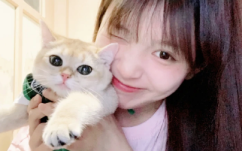 我是一个感受到被爱才会爱回去的人(ins奶凶奶凶可爱萌系女生头像)