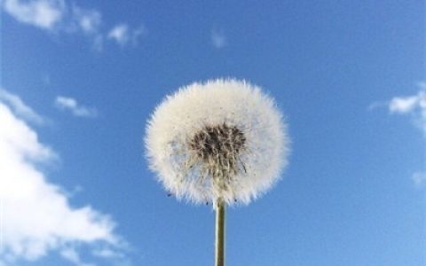 必须非常努力看起来才会毫不费力(抖阴头像风景或花草高清)