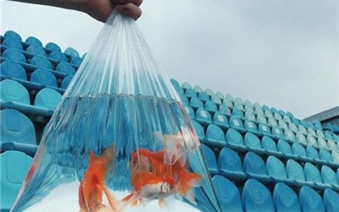 要逼自己优秀然后骄傲的生活(抖阴头像唯美清新正能量)