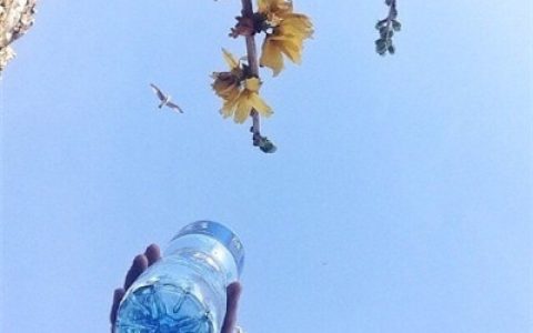 抖阴头像蓝天白云图片大全(抖阴最吉利的好看头像蓝天图片)