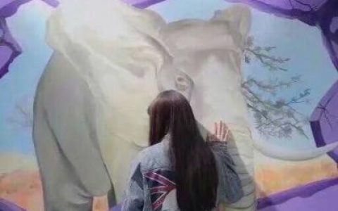 独一无二抖阴情侣头像一男一女(低调秀恩爱情侣背影头像)