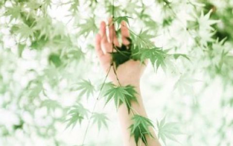 谁都不用联系的日子最轻松(能带来好运的抖阴头像简单清新)