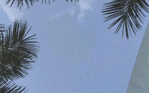 抖阴旺运头像图片大全(能带来好运的抖阴头像图片静谧)