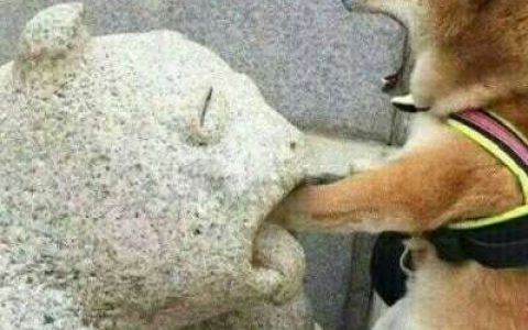 谁也不欠谁谁也不为难谁(独一无二情侣头像大全搞笑逗比一对)