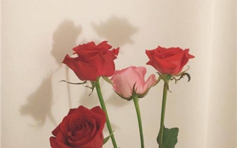 我可以很深情也可以很绝情(简单清新带字抖阴头像)