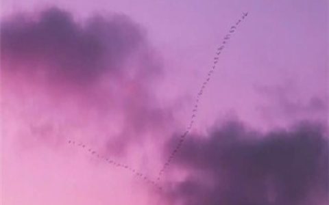好看的天空系列好运头像图片(能带来好运的抖阴头像唯美天空)