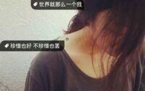 也许我只是你生命里的过客(有点伤感的女生头像带字唯美)