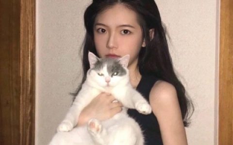 爱而不得真的不如不遇见(可爱女生和猫的头像超好看)