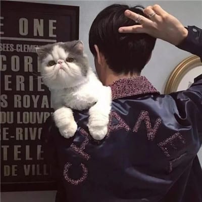 能错过是福气能遇见也是(霸气男生戴口罩不露脸头像)