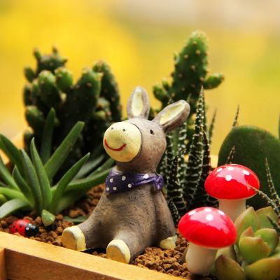 孤独是最好的上升期(抖阴头像多肉植物图片高清最新)图8