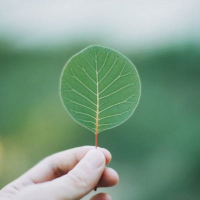 漫长的告别是青春盛宴(抖阴头像花草唯美小清新最新)图2