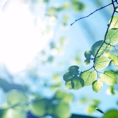 漫长的告别是青春盛宴(抖阴头像花草唯美小清新最新)图6