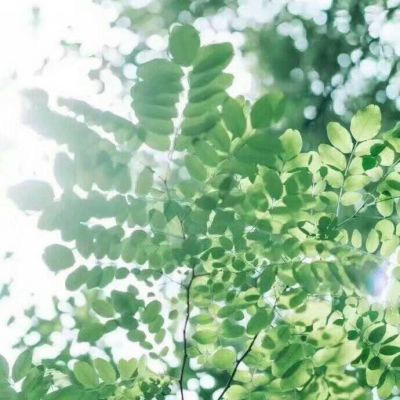 漫长的告别是青春盛宴(抖阴头像花草唯美小清新最新)图8