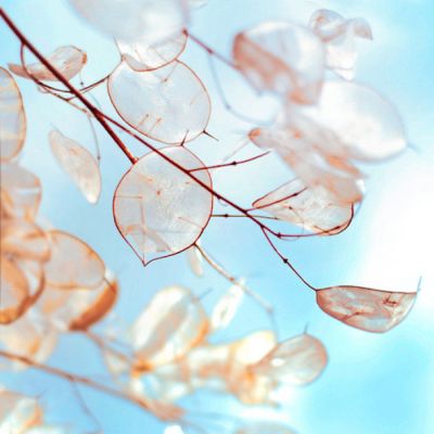 漫长的告别是青春盛宴(抖阴头像花草唯美小清新最新)图9