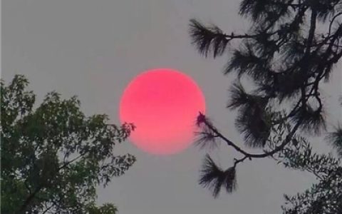 风轻吻你的脸庞(抖阴头像静景淡雅简单高清大图)