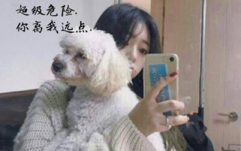 活得太明白所以不好受(抖阴头像女生气质唯美带字图片218最新)
