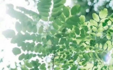 我爱他而他爱她(抖阴唯美暖心风景头像高清大全)
