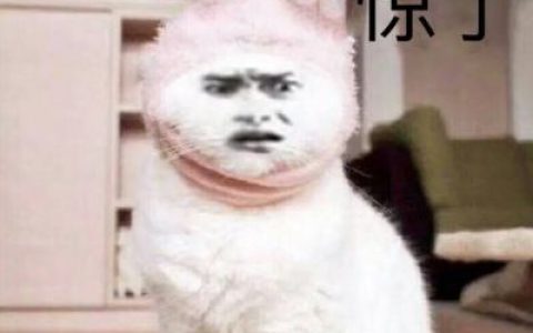 既然不能逃避那就选择面对(最新抖阴搞笑头像图片带文字)
