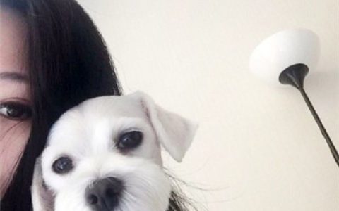 自从删除你之后网速快多了(最新搞怪可爱动物头像抖阴萌宠)