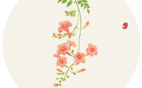 短暂时光带走的是幸运(抖阴圆形花草唯美头像大全)
