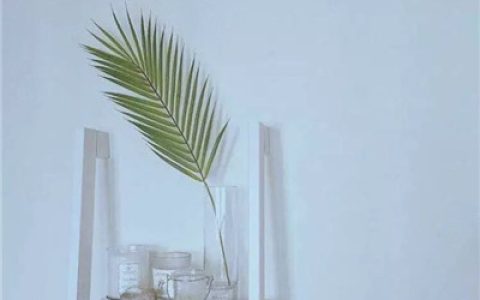 你已山清我沉酒里(抖阴原创简约风景静物头像)