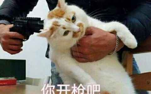 相遇太好却又离开太早(抖阴搞笑的包情包头像带文字的)