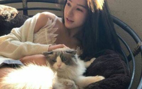 美女抱可爱猫咪抖阴头像高清(小仙女与小动物的亲密合照头像)