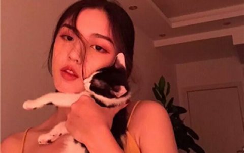 你是最特别的那一个(女生抱着猫猫爱心满满头像)