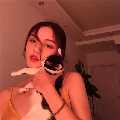 你是最特别的那一个(女生抱着猫猫爱心满满头像)