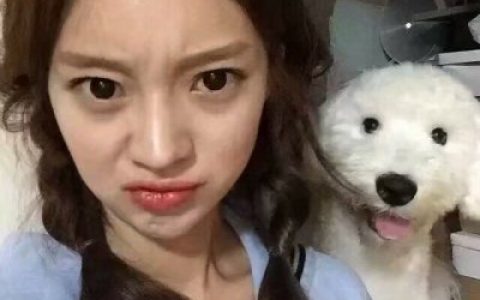 最新女生抱宠物合照头像可爱好看(漂亮女生抱萌宠头像大全)