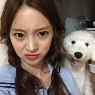 最新女生抱宠物合照头像可爱好看(漂亮女生抱萌宠头像大全)