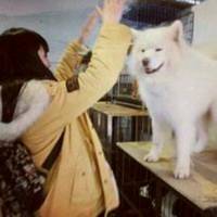 像饮一杯往事不加糖(唯美个性空间柔美QQ女生头像)图8