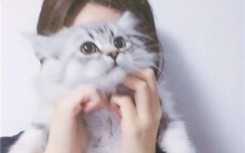 剩下的日子都是煎熬(长发美女与猫的头像最新高冷)