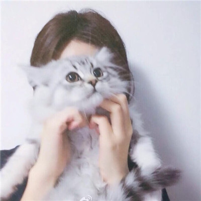 剩下的日子都是煎熬(长发美女与猫的头像最新高冷)