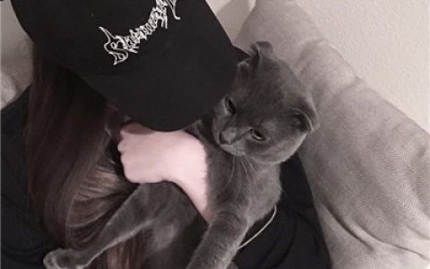美女抱猫咪的头像图片(关于抱猫美女头像可爱清纯)