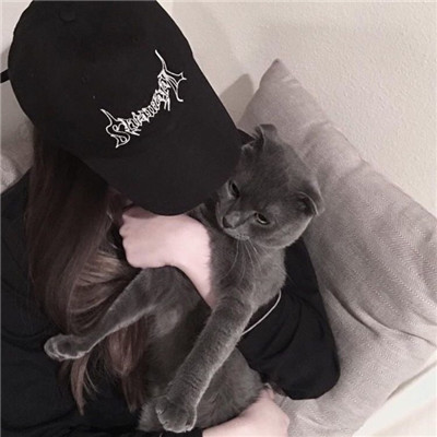 美女抱猫咪的头像图片(关于抱猫美女头像可爱清纯)