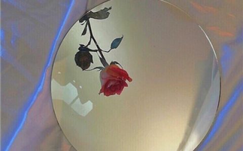 用微笑活出无人能比的高傲(唯美好看玫瑰花头像图片大全)