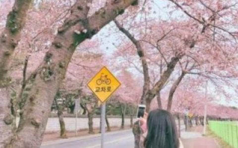 我可以惯着你也可以换了你(女生抖阴背影头像伤感非主流)
