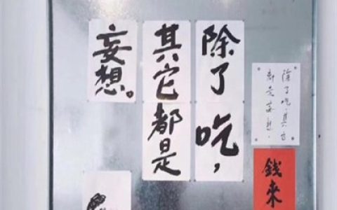 抖阴头像简约个性带字大全(抖阴头像独一无二大全)