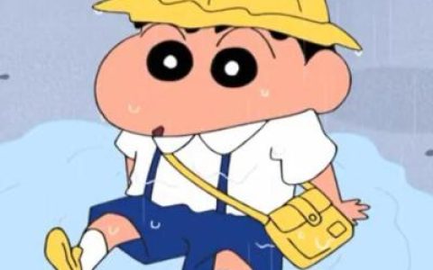 拥抱要轻微笑要真(最新蜡笔小新头像可爱搞笑合集)