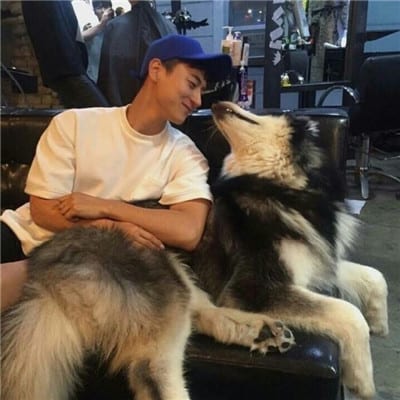 阳光正好我们去浪(抖阴头像人抱着萌宠男生头像)
