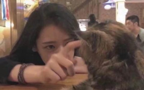 动了真心怎能说忘就忘(抱着猫咪的女生可爱头像大全)
