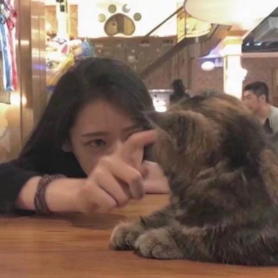 动了真心怎能说忘就忘(抱着猫咪的女生可爱头像大全)