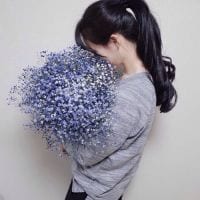 鱼爱海的蓝而不知天的湛(捧花的女生头像最新)