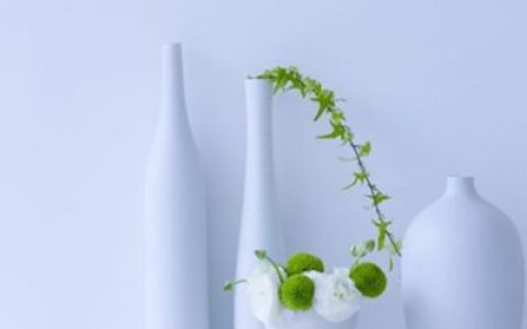 好看的静物风景抖阴头像(唯美小清新静物图片抖阴头像)