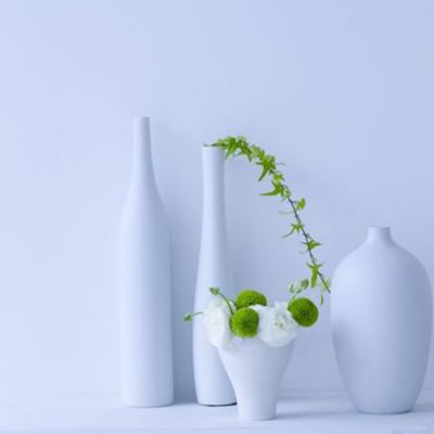 好看的静物风景抖阴头像(唯美小清新静物图片抖阴头像)图