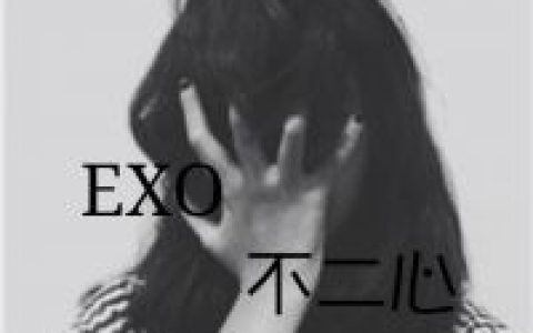你们是会发光的exo(exo女生头像背影)