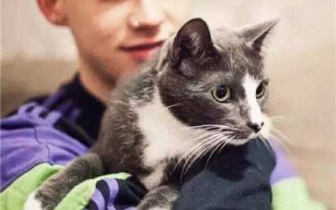 可爱萌萌哒猫咪头像男生版(抖阴个性头像男生抱猫咪系列)